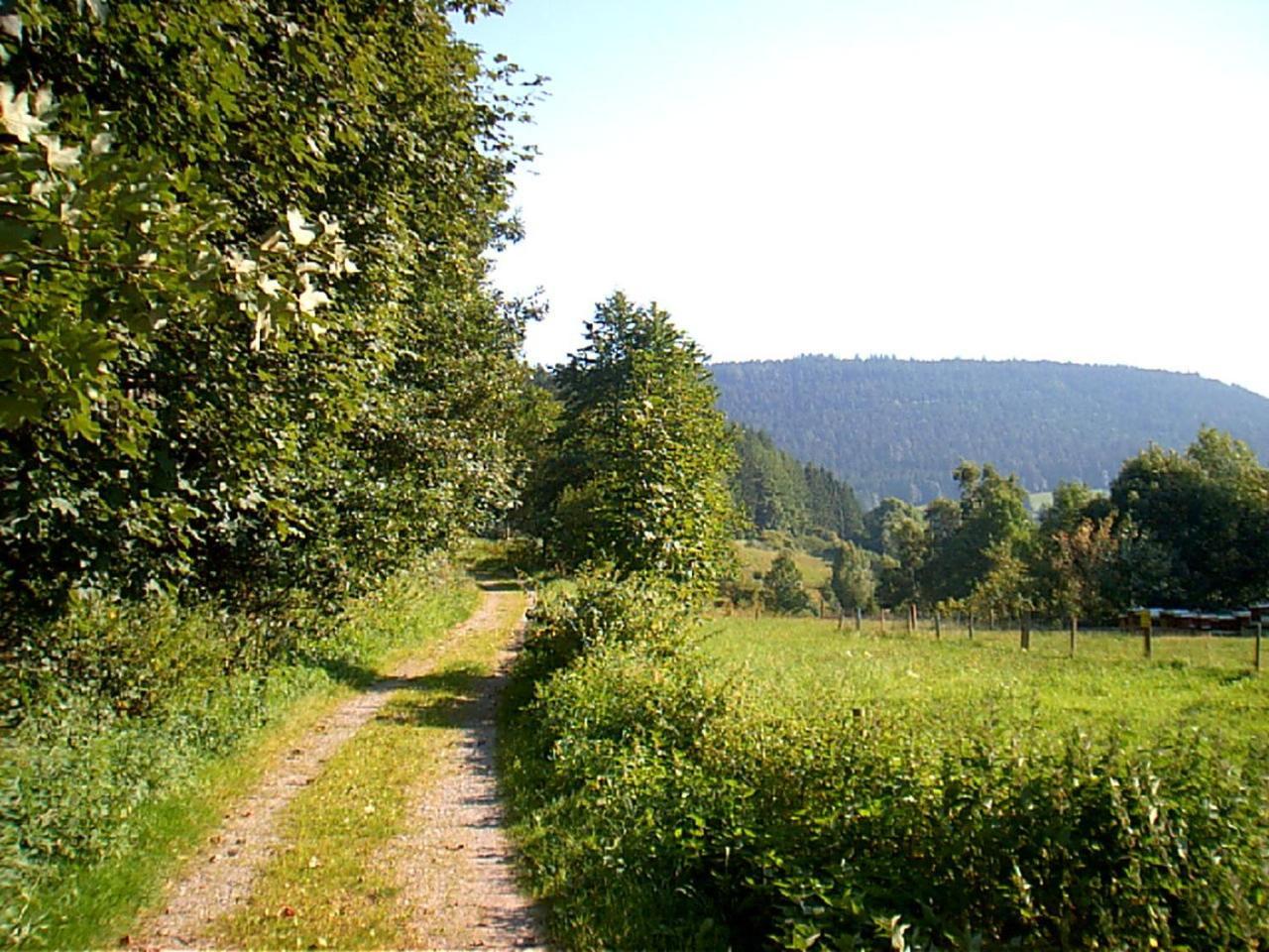 Gasthof Erlenhof Alpirsbach Buitenkant foto